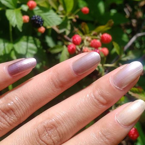 ombre1